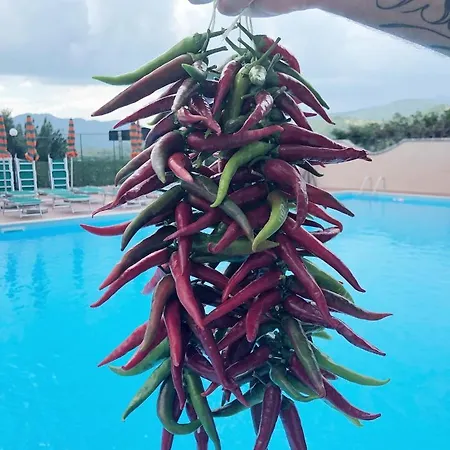 Rifugio Del Cavaliere Aparthotel Ateleta