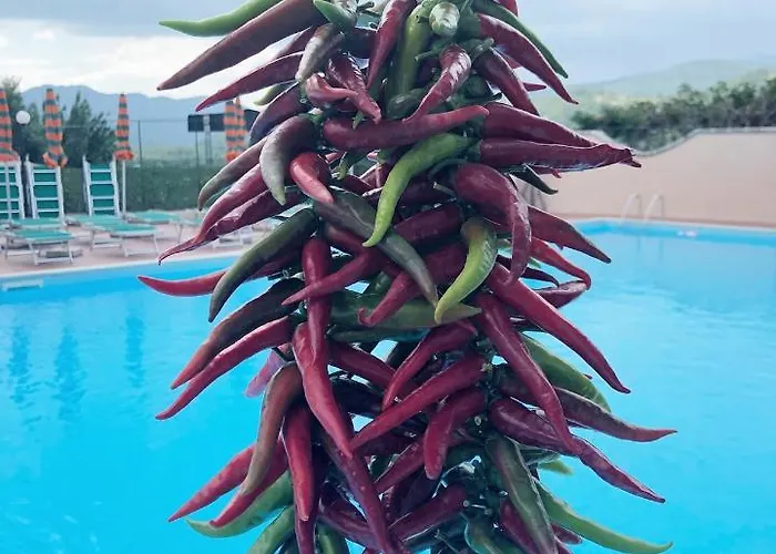 Rifugio Del Cavaliere Apart-hotel Ateleta